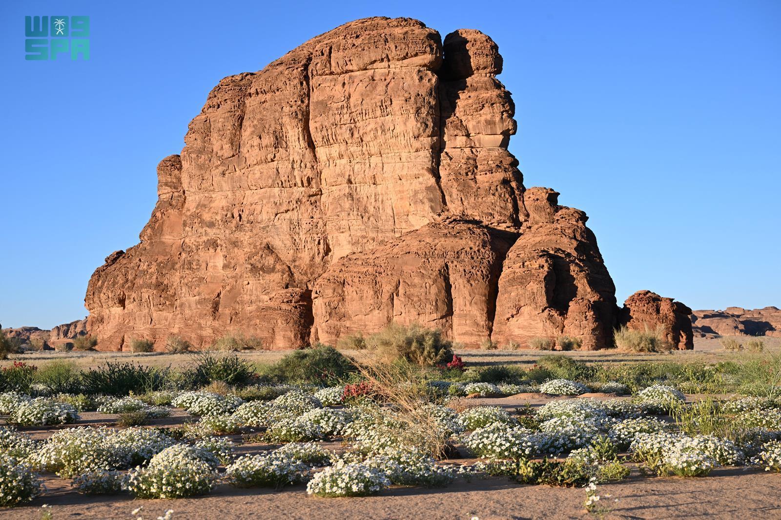 محمية شرعان وفندق دار طنطورة ضمن الوجهات المميزة على قائمة مجلة التايم 