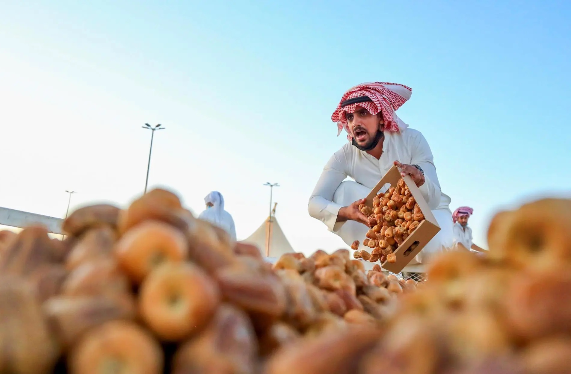 36 مليون نخلة في السعودية تنتج أكثر من 1.6 مليون طن من التمور سنويا. المصدر: واس