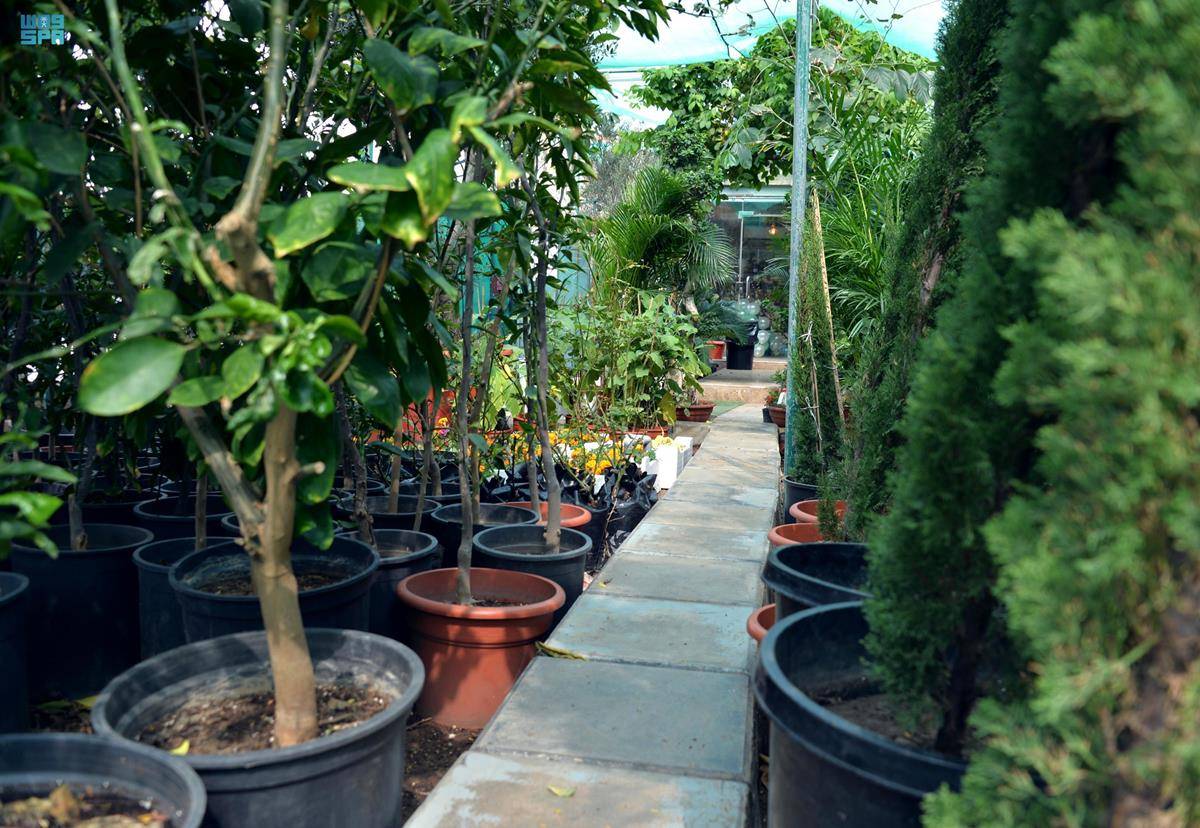 69 موقعا استثماريا زراعيا جاهز للاستثمار في منطقة مكة المكرمة