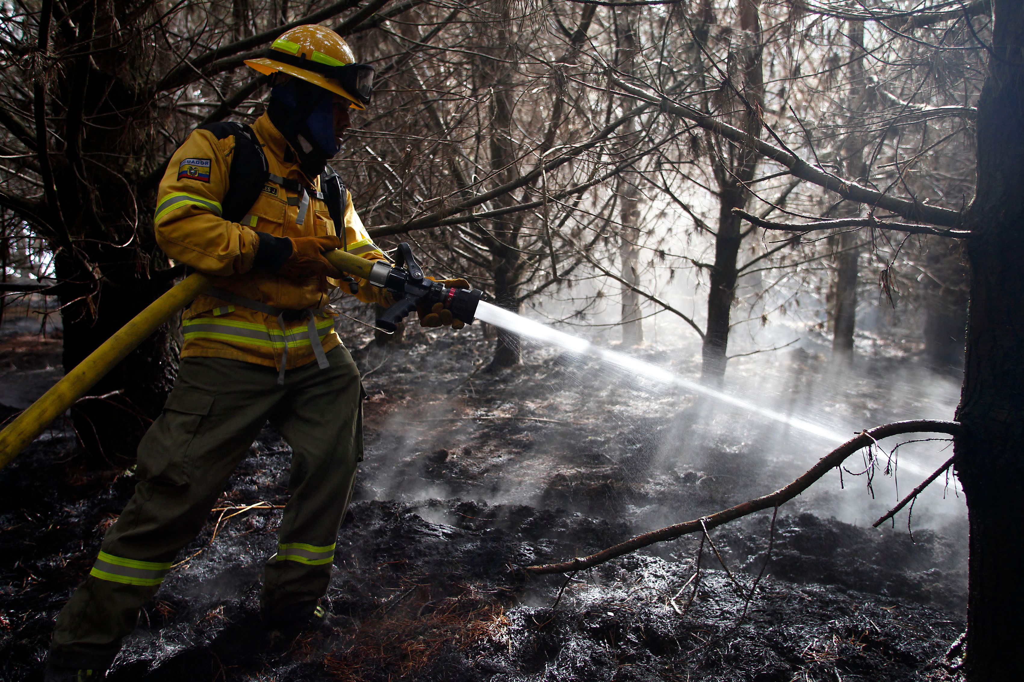 الجفاف يضرب غابات الإكوادور