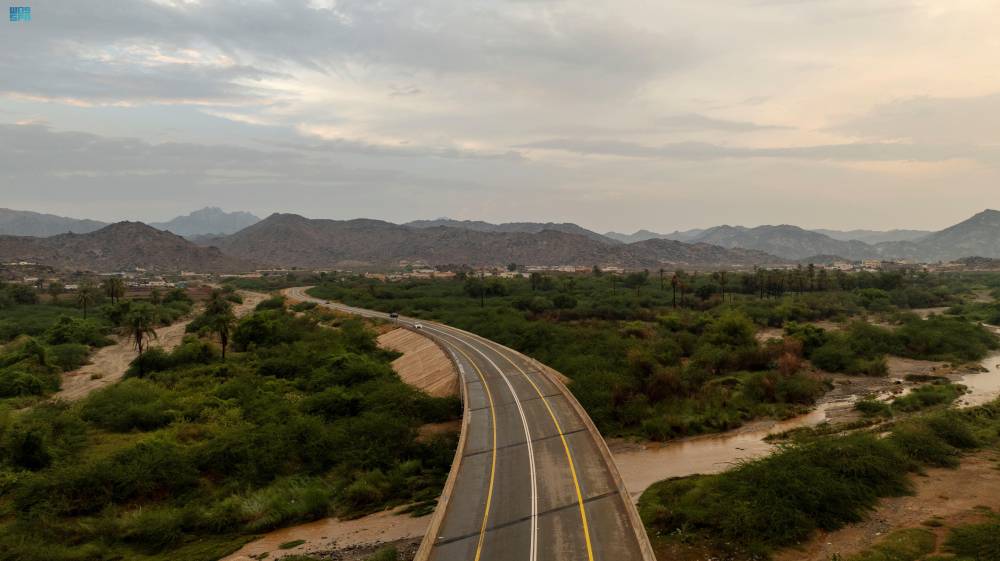 DST_2188948_6819465_29_6_2024101414144325