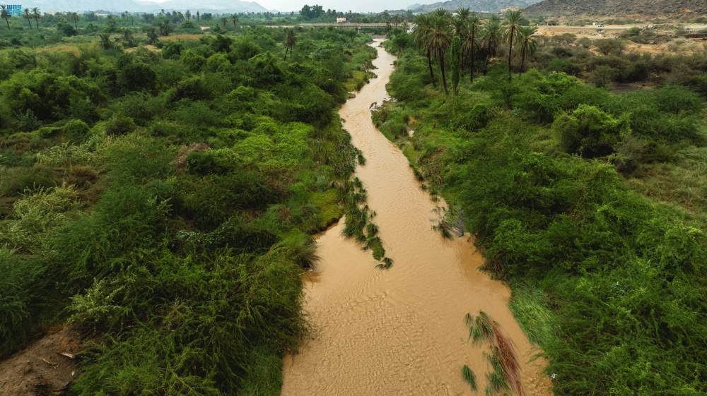 DST_2188948_6819467_29_6_2024101414144325