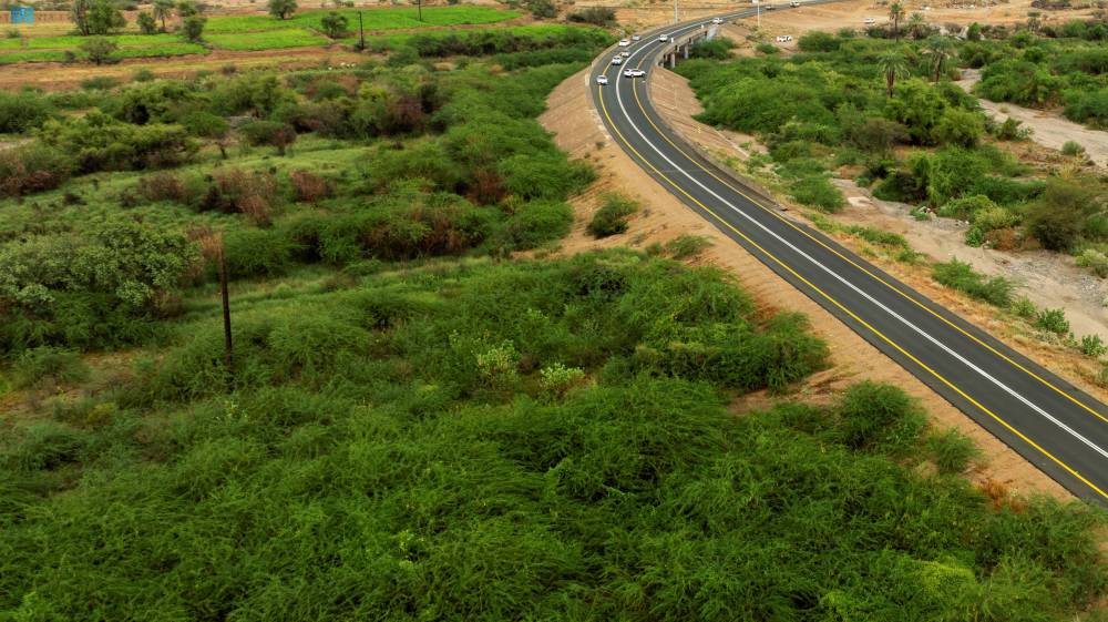 DST_2188948_6819469_29_6_2024101414144325