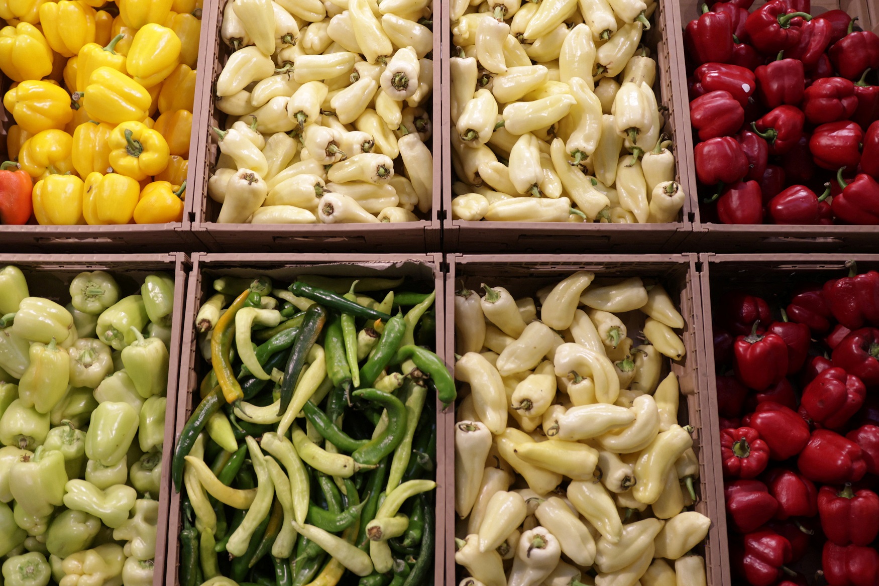 أسعار الغذاء العالمية في أكتوبر تصل لأعلى مستوى في 18 شهرا