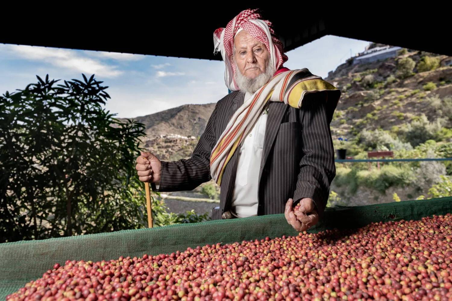 طرح فرص استثمارية لإنشاء مدن لزراعة البن والتين الشوكي في الباحة جنوب السعودية