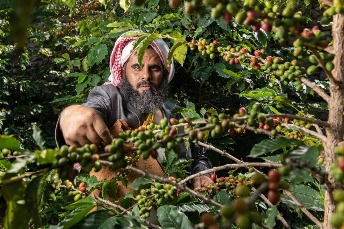 شراكة بين "السعودية للقهوة" و"تطوير منتجات الحلال" لتوسيع القاعدة السوقية