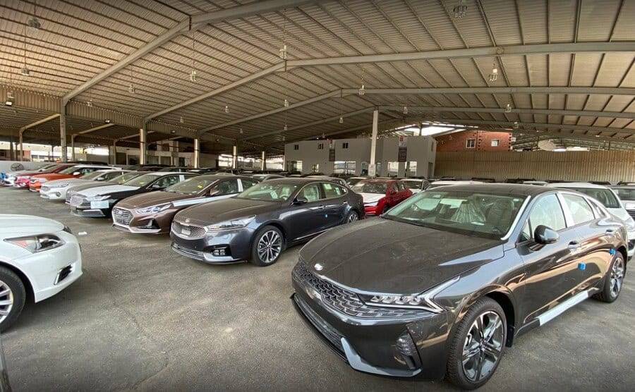 كيف يوظف "الشريطية" التكنولوجيا لإطالة عمر مهنتهم؟