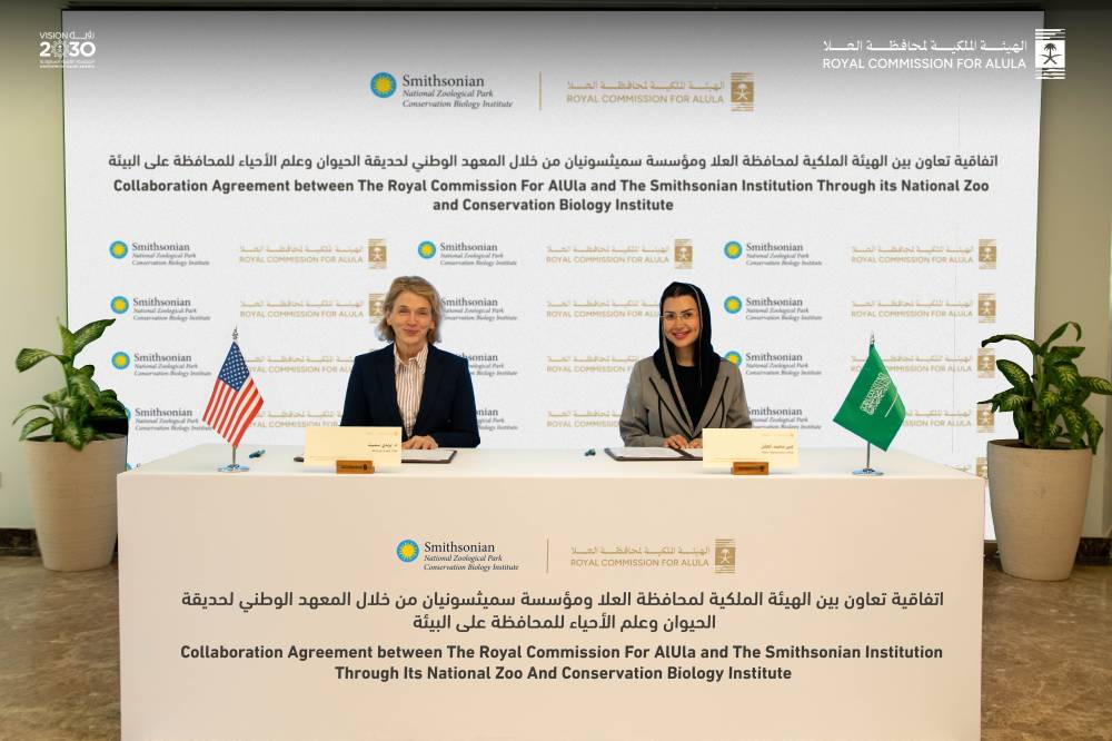 اتفاقية تعاون بين الهيئة الملكية للعلا و"سميثسونيان" لحماية النمر العربي