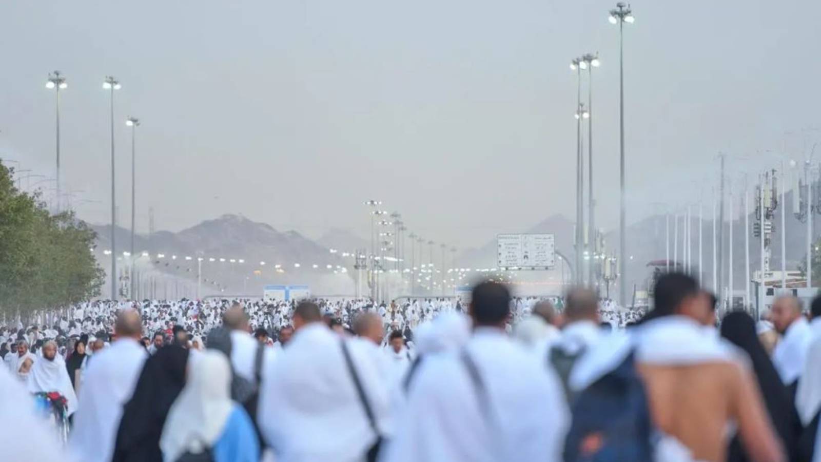 اعتماد 379 منشأة لخدمات الإعاشة بطاقة استيعابية تتجاوز 15 مليون حاج