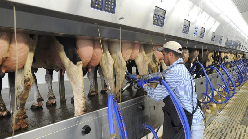 السعودية تتجه لفتح أسواق عالمية جديدة لتصدير منتجات الألبان بعد "اتفاقية الصين"