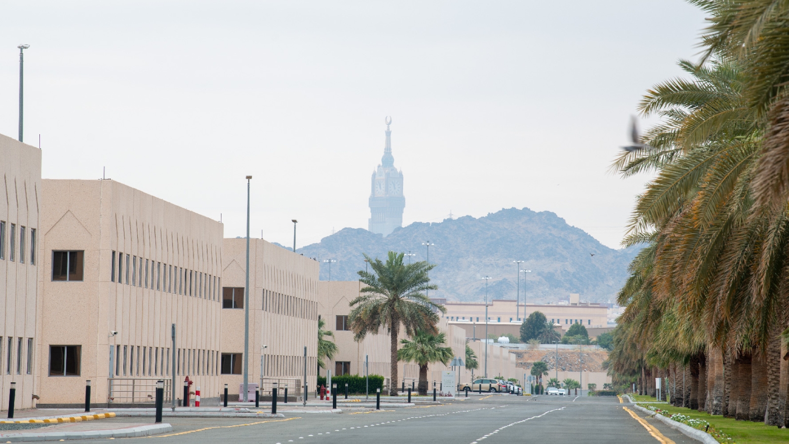 "عقارات الدولة" تستضيف 59 جهة حكومية لحج 1446