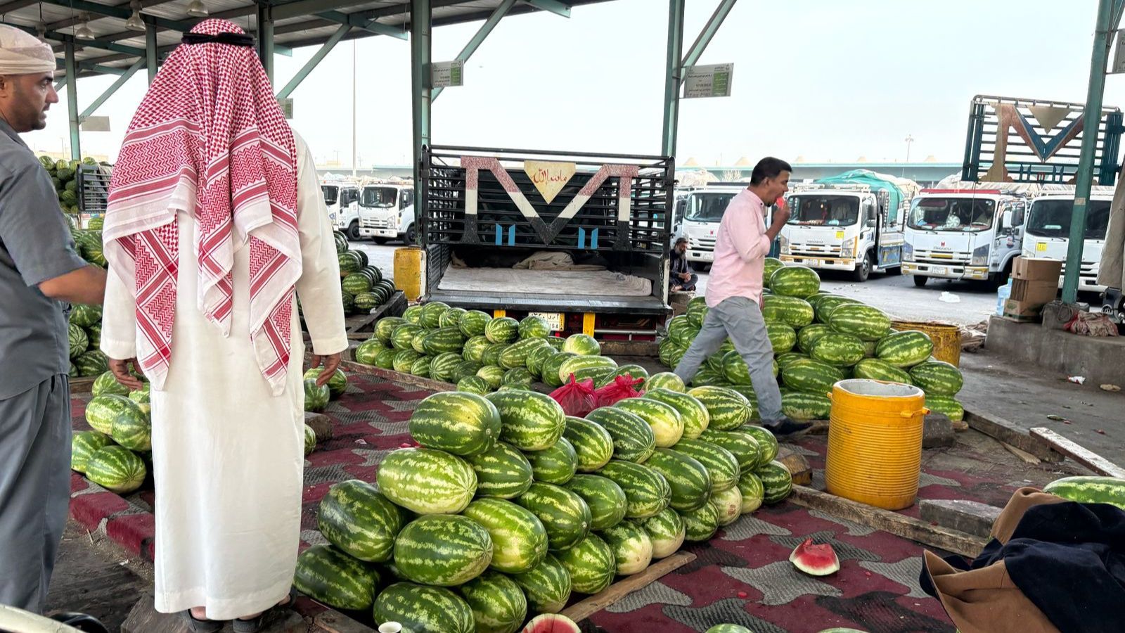 "حصاد مر" لموسم الحبحب في السعودية على وقع اضطرابات بيئية وموجات برد متقطعة