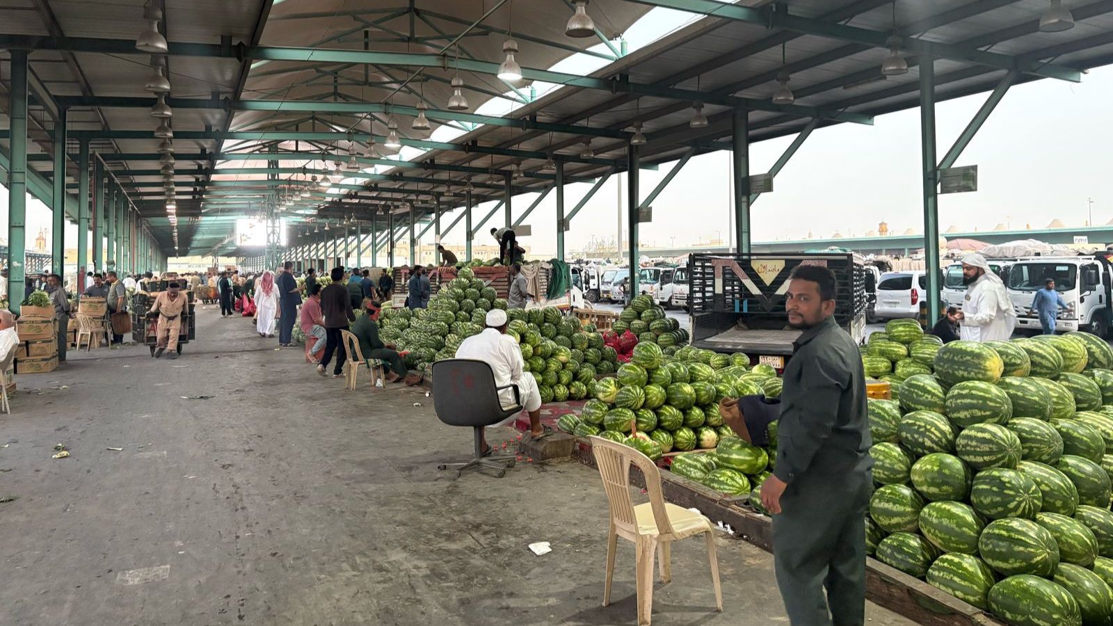 "حصاد مر" لموسم الحبحب في السعودية على وقع اضطرابات بيئية وموجات برد متقطعة