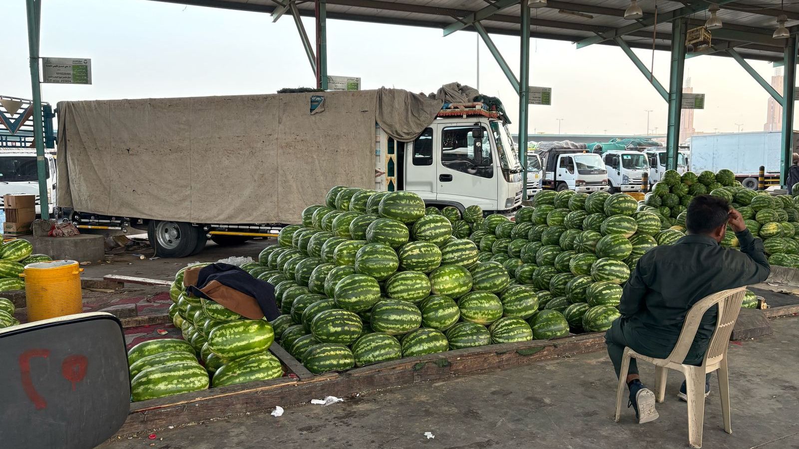 "حصاد مر" لموسم الحبحب في السعودية على وقع اضطرابات بيئية وموجات برد متقطعة