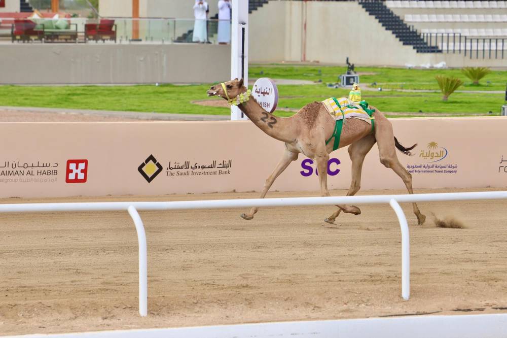 12.6 مليون ريال لـ "الحيل والزمول" في ختام مهرجان الهجن .. و"اجتياز" تتوج بالكأس الـ 3