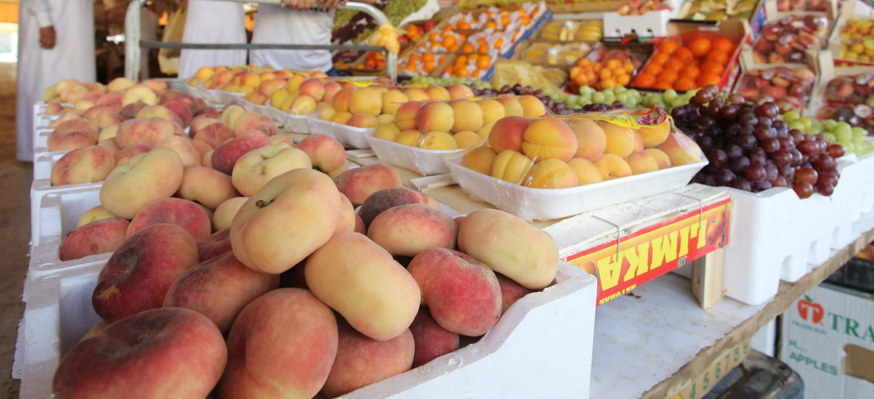 30 أكتوبر موعد إغلاق سوق الشمال المركزي للخضار والفواكه في الرياض