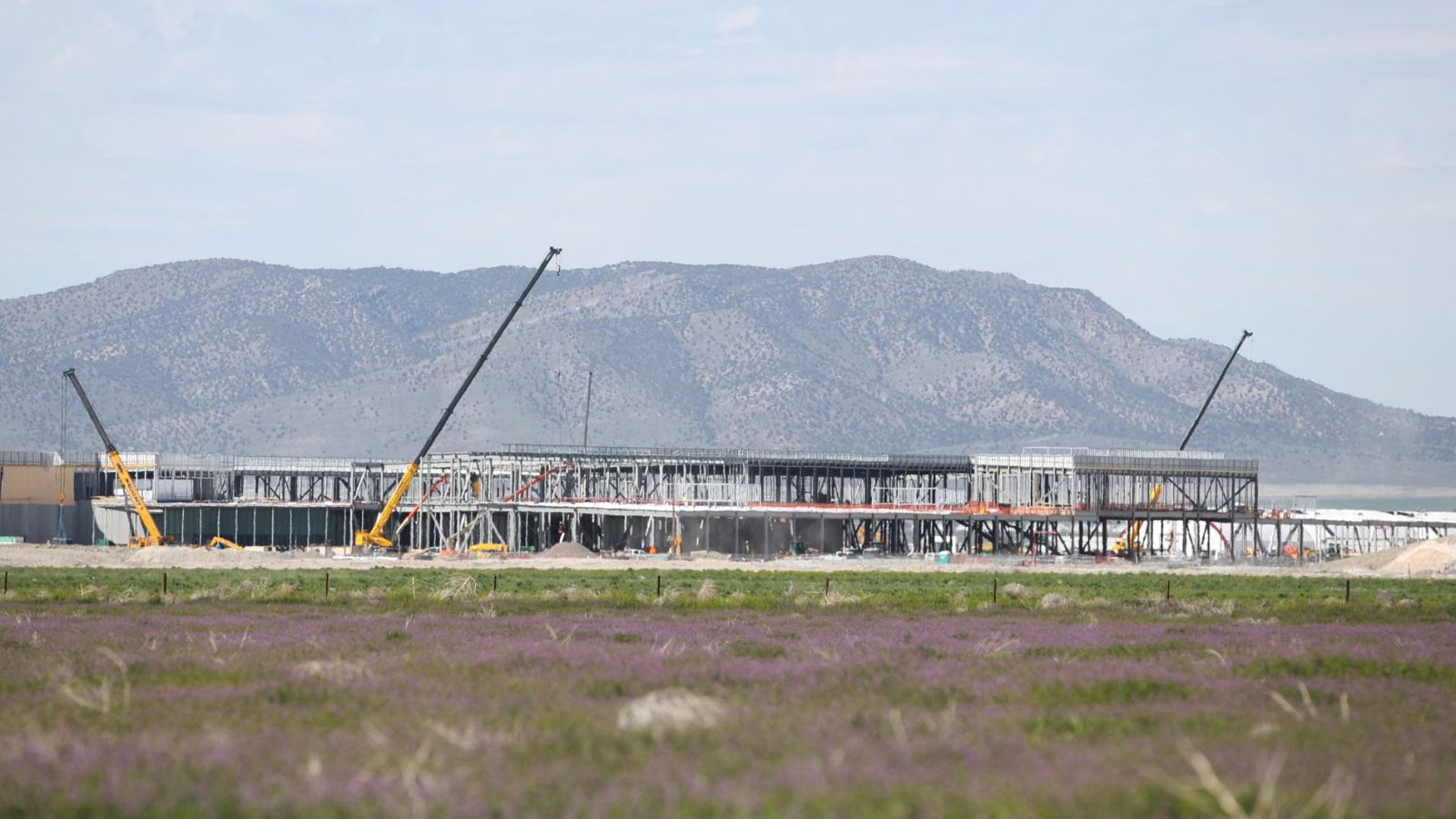 صفقة بـ 100 مليار دولار بين "إنفيديا" و"OpenAI" بمشروع يفوق استهلاك نيويورك للكهرباء