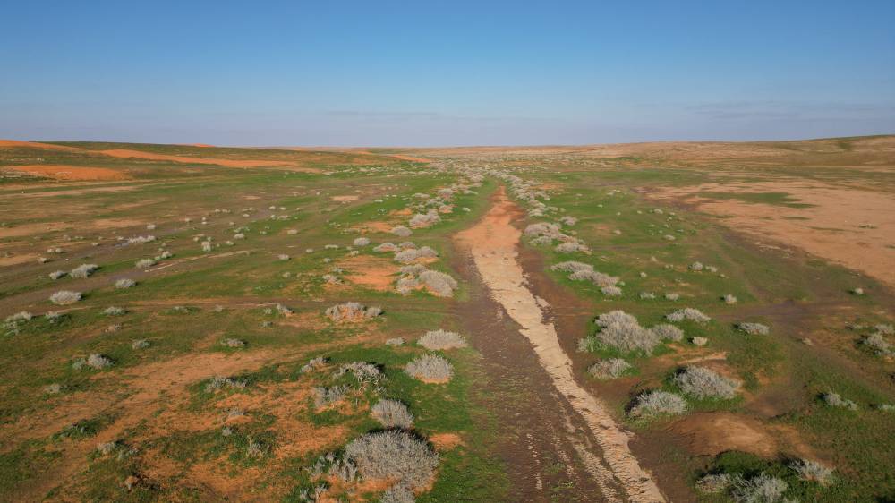 هيئة تطوير محمية الإمام تركي بن عبد الله الملكية تنضم رسميا لبرنامج "MAB"