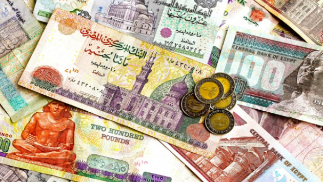 الجنيه المصري يرتفع أكثر من 11 % مقابل الدولار في 2019