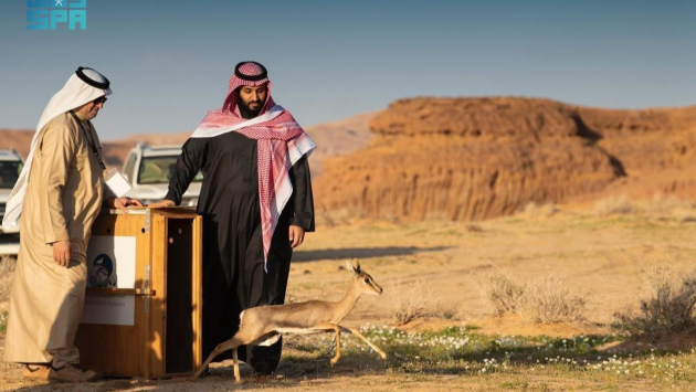 السعودية ترسخ ريادتها العالمية في مكافحة القضايا والتغيرات المناخية