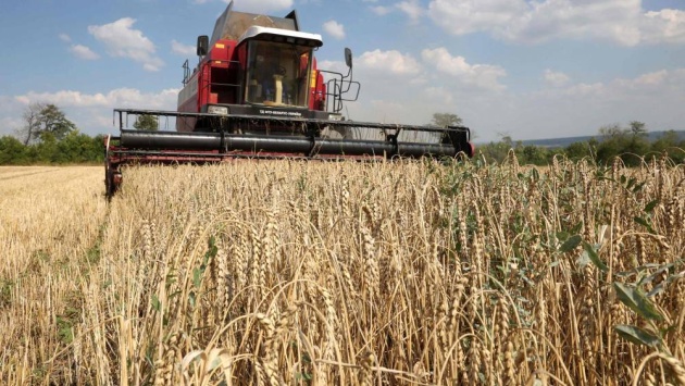 مسارات روسية جديدة لتصدير الحبوب .. محصول استثنائي وأسعار مرتفعة