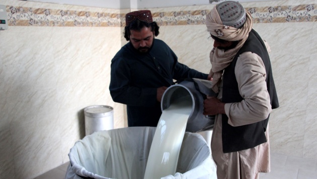 صناعة الألبان في أفغانستان