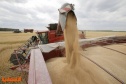 أوروبا تعتزم تمديد قيود استيراد الحبوب الأوكرانية رغم مقاومة دول في التكتل