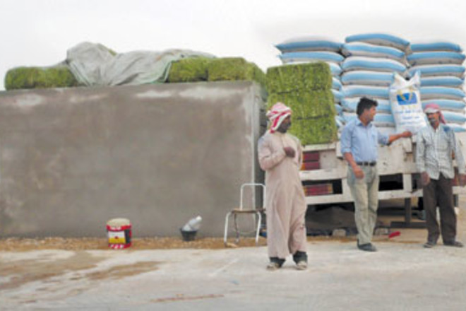 سعر الشعير اليوم في السعودية