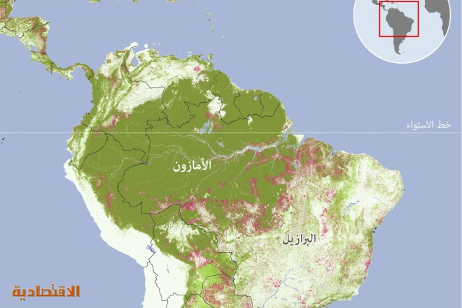 تدمير 12% من غابات الأمازون في البرازيل