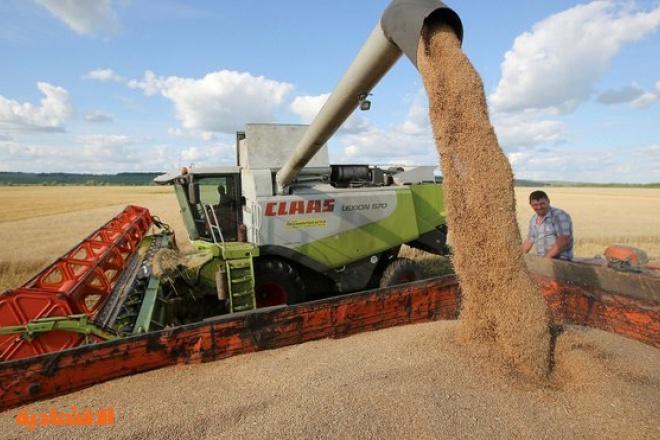 شكوك تمديد اتفاق الحبوب تطغى .. أسعار القمح الأعلى في أسبوعين