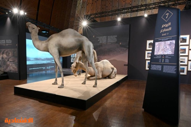 المتحف الوطني يستعد لافتتاح معرض «الهجرة على خطى الرسول»