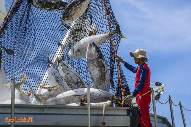الصراع الصيني - الياباني على المأكولات البحرية يتحول إلى أروقة منظمة التجارة
