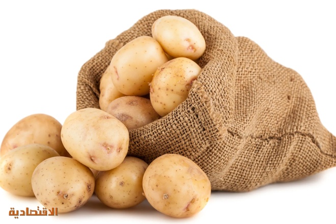 الجوف الزراعية توقع مذكرة تفاهم مع جلوبال جرين الكورية لنقل تقنية إنتاج البطاطس
