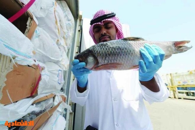 حظر صيد أسماك الناجل والطرادي على البحر الأحمر