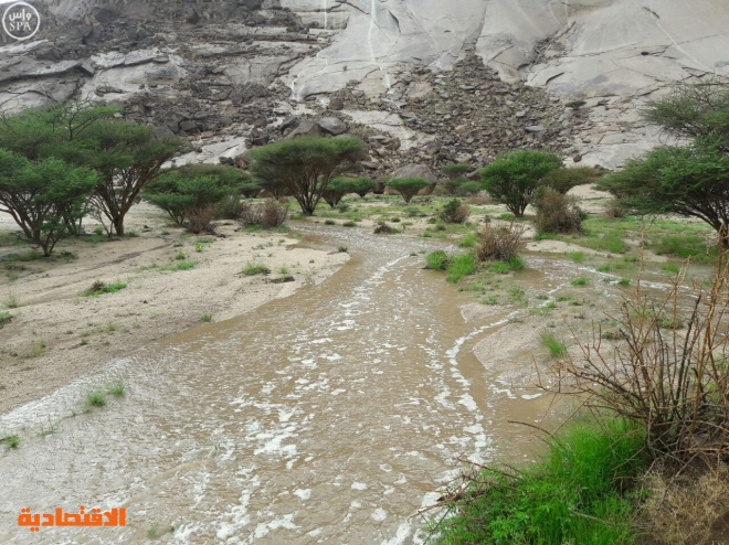هطول أمطار على وادي الدواسر