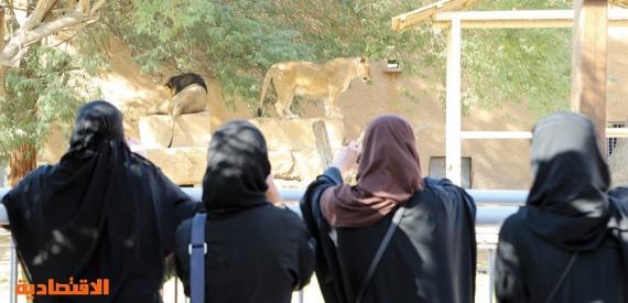 حديقة حيوانات الرياض 60 عاما بلا تطوير جوهري صحيفة الاقتصادية
