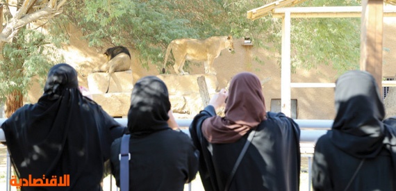 الطائف حديقة حيوان أفضل 6