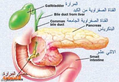 التهاب المرارة وأسبابه | صحيفة الاقتصادية