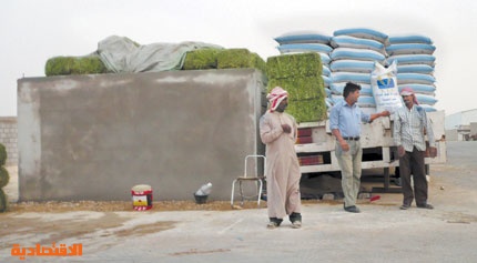 أسعار الشعير في السعودية اليوم