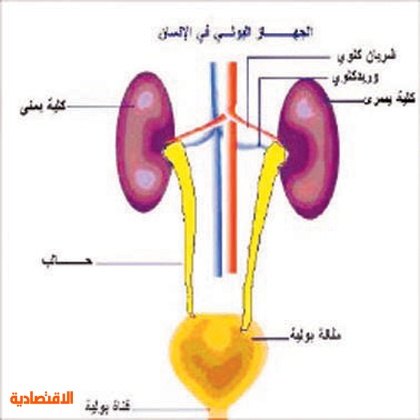 Image result for â€«Ù…Ø³Ø§Ù„Ùƒ Ø¨ÙˆÙ„ÙŠØ©â€¬â€Ž