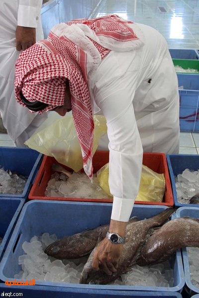 سوق جملة السمك البطحاء Riyadh