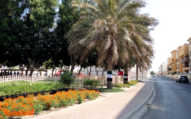قصة مصورة: دبي توزع 100 ألف شجرة  للمنازل والأفراد بمناسبة يوم الاتحاد