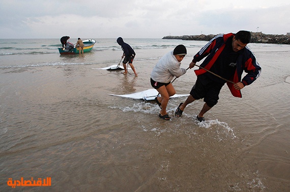 اهالي غزة يصطادون عددا ضخما من اسماك وطواط البحر النادرة