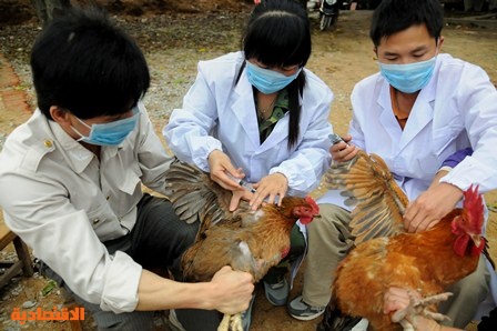 انفلونزا الطيور تقتل ثلاثة اشخاص في الصين