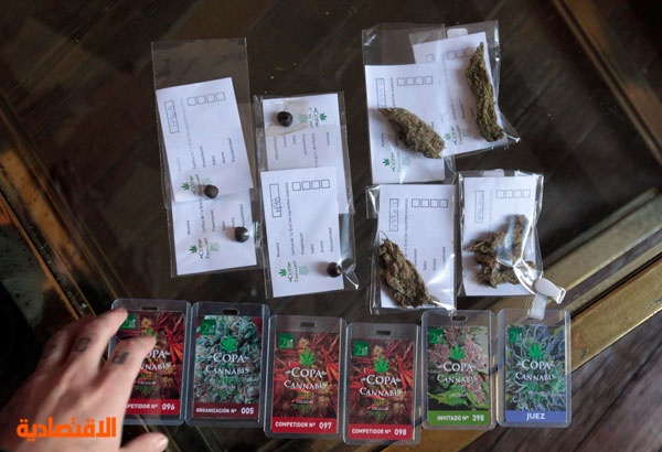 قصة مصورة : أوروجواي تصوت على تقنين الماريجوانا