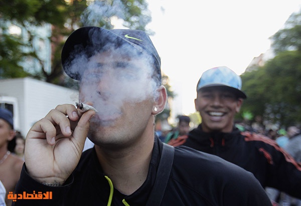 قصة مصورة : الأوروجواي ستصبح أول دولة تسمح بتجارة الماريجوانا