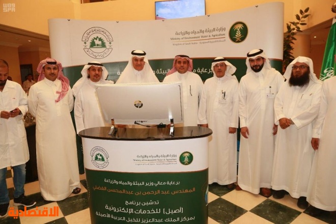 السعودية تتصدر العالم بإنتاج الخيل العربية
