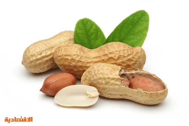 حساسية المكسرات الفول السوداني ينقلب إلى خطر مميت أحيانا صحيفة الاقتصادية