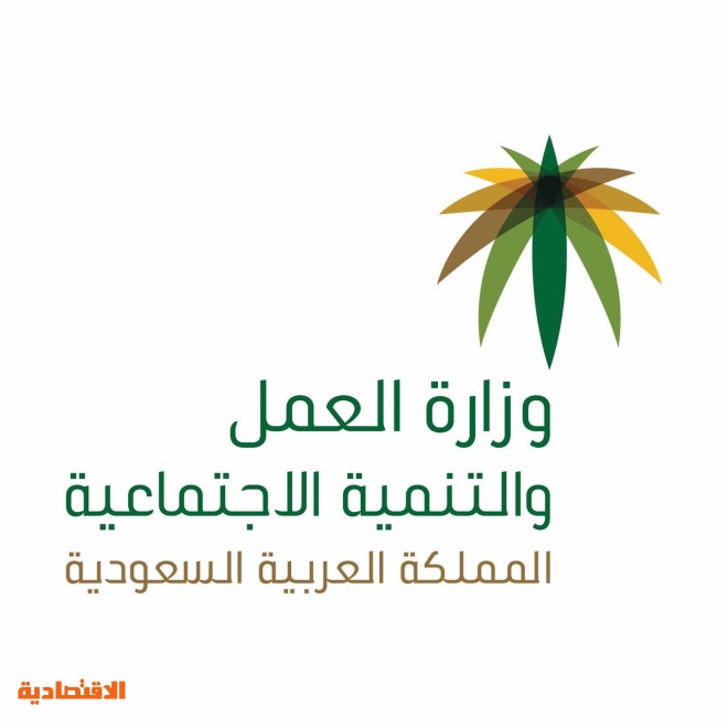 العمل والتنمية الاجتماعية منصة إفصاح تدعم تحقيق أعلى مستويات الشفافية للجمعيات الأهلية صحيفة الاقتصادية