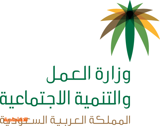 العمل والتنمية الاجتماعية توضح خطوات الاستفادة من خدمة أجير للأشقاء اليمنيين صحيفة الاقتصادية